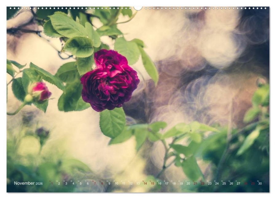 additionalImage3