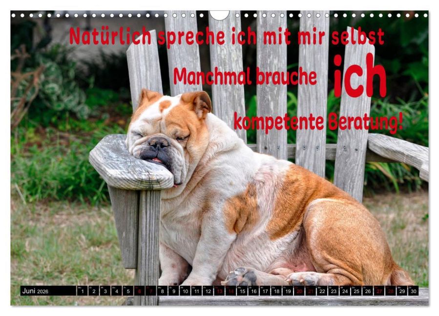 additionalImage11