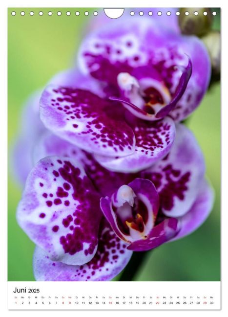 additionalImage11