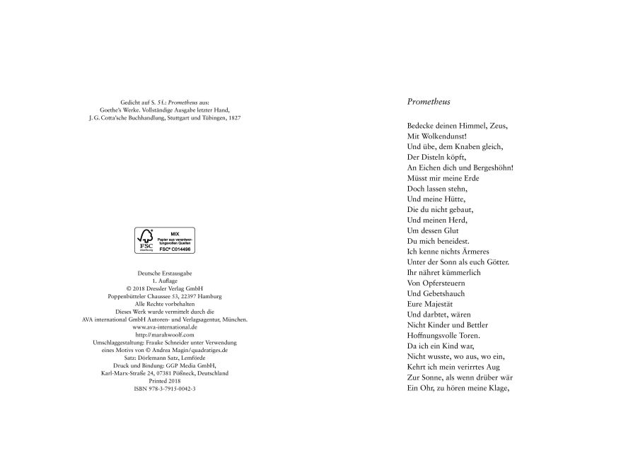 additionalImage2