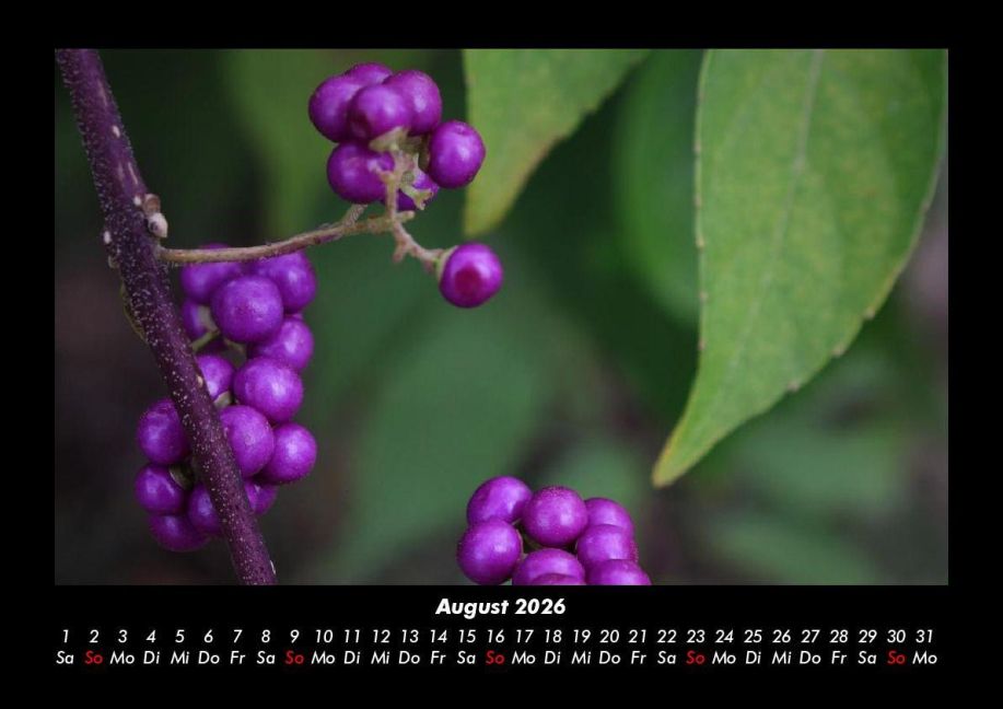 additionalImage12