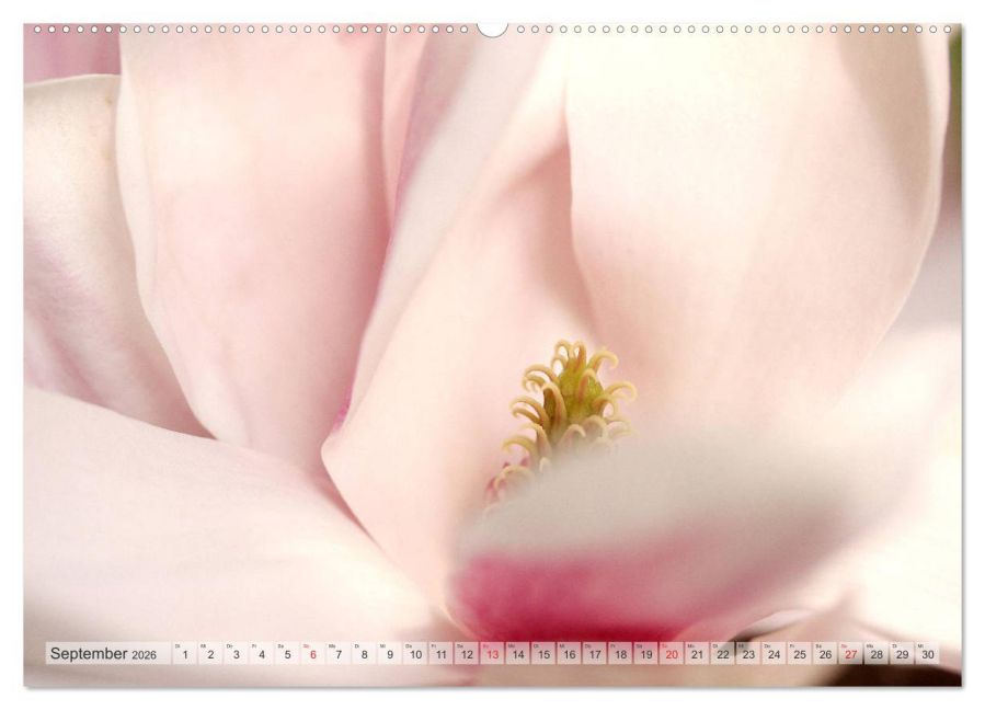 additionalImage14