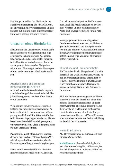 additionalImage11