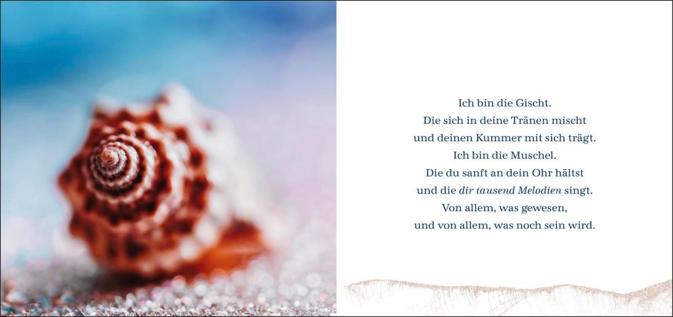 additionalImage1