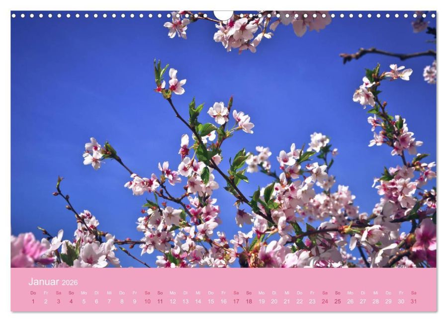 additionalImage6