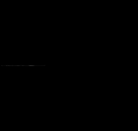 additionalImage1
