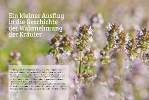 additionalImage1