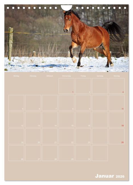 additionalImage6