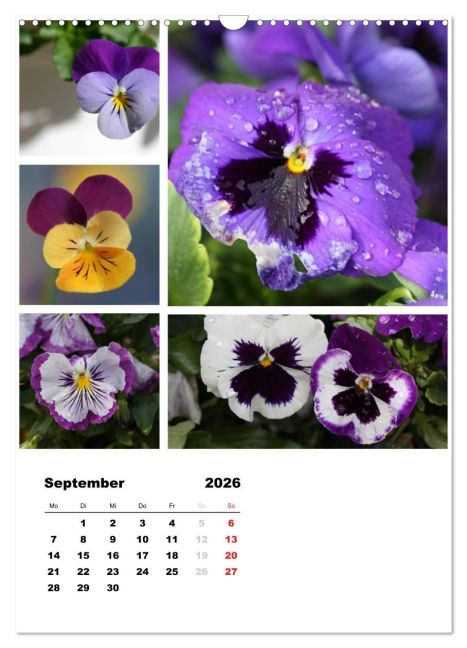 additionalImage14