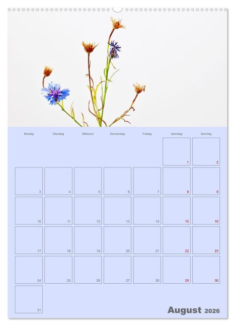 additionalImage12