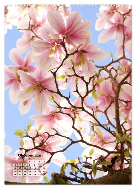 additionalImage1