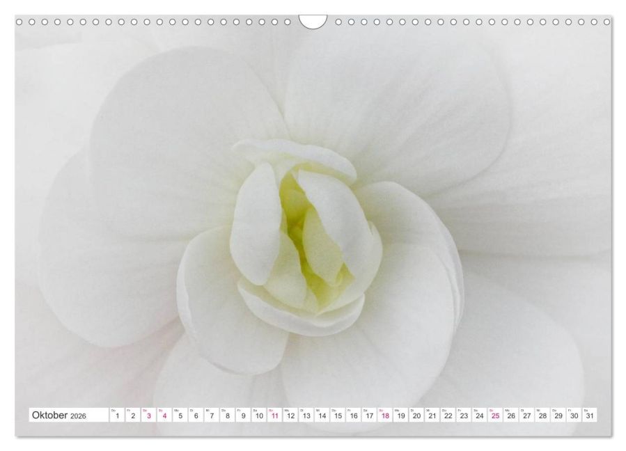 additionalImage2