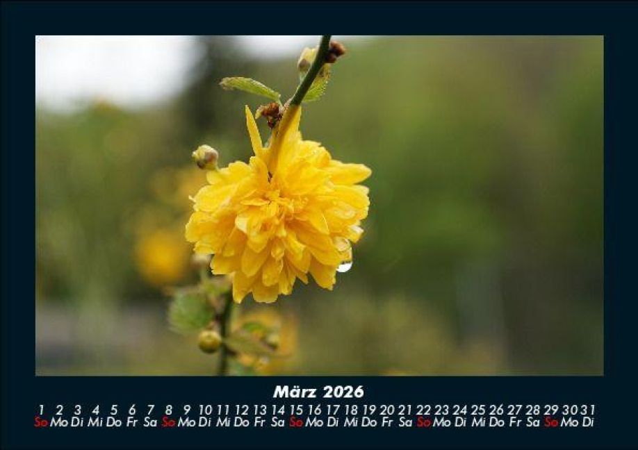 additionalImage7