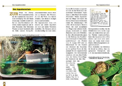 additionalImage2