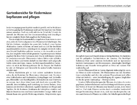 additionalImage2