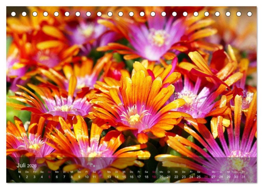 additionalImage12