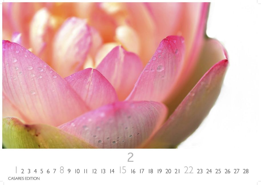 additionalImage2