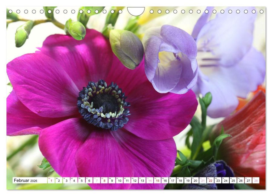 additionalImage7