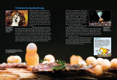 additionalImage3