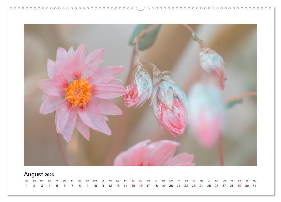 additionalImage12