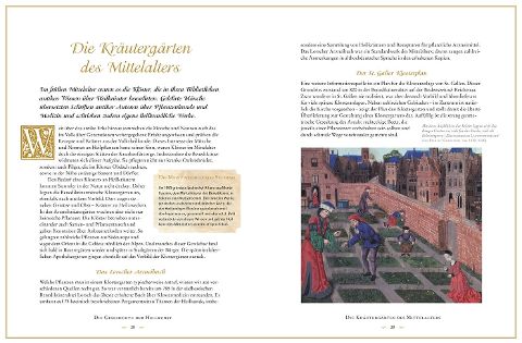 additionalImage1