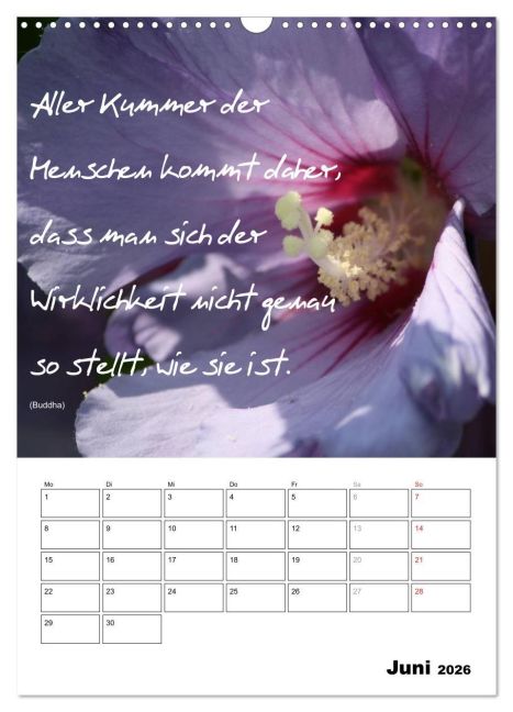additionalImage11