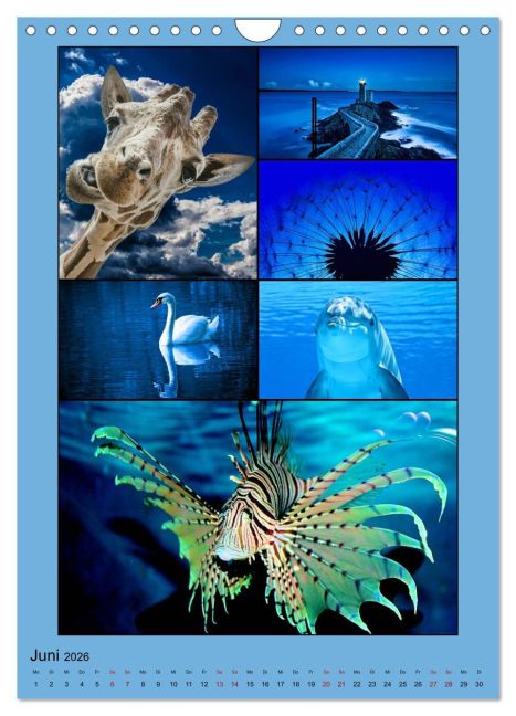 additionalImage11
