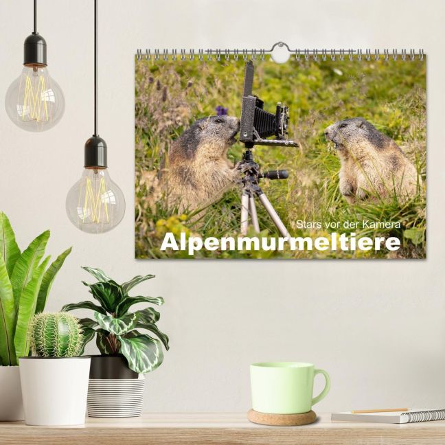 additionalImage1