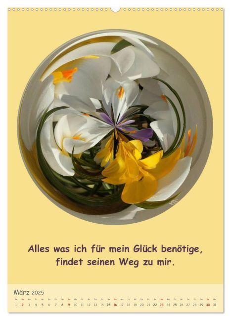 additionalImage8