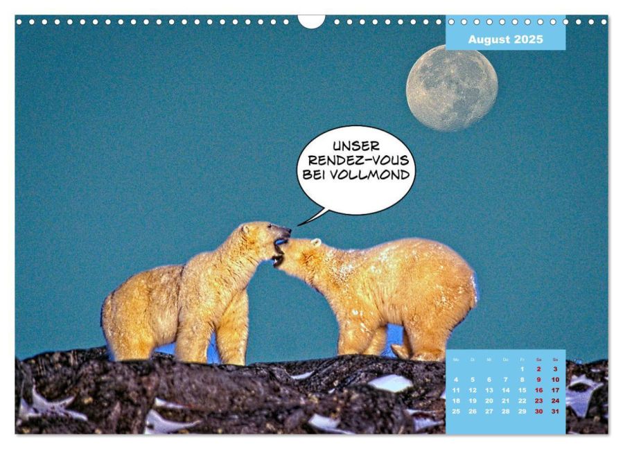 additionalImage13