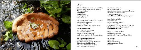 additionalImage7