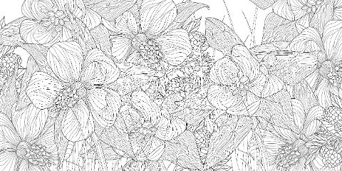 additionalImage2
