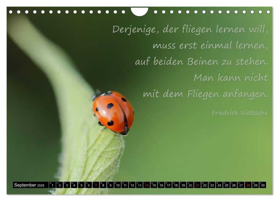 additionalImage14