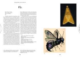 additionalImage11