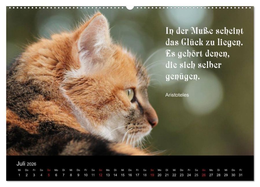 additionalImage12