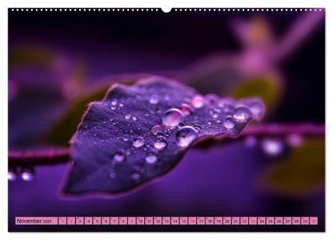 additionalImage2