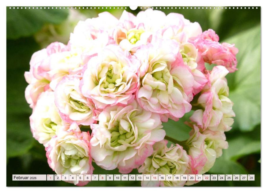 additionalImage6
