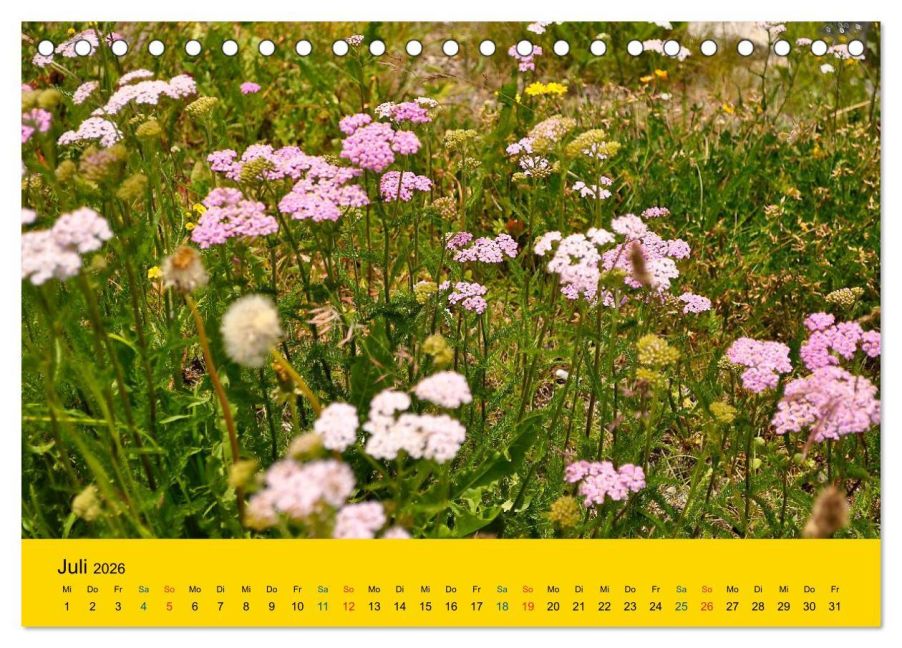 additionalImage12