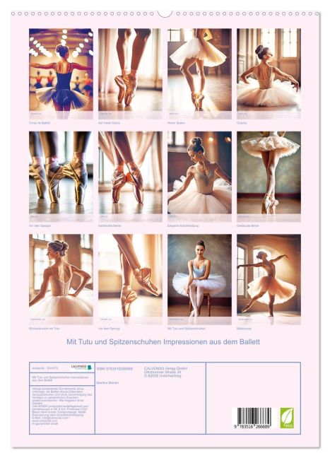 additionalImage4