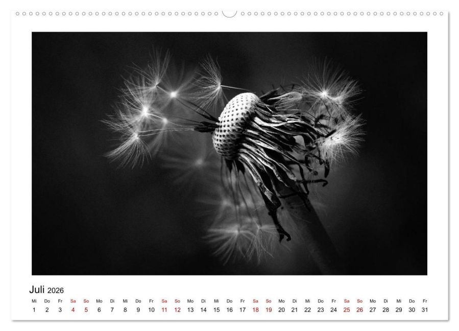 additionalImage11