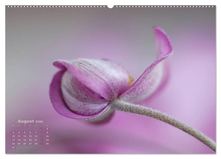 additionalImage13