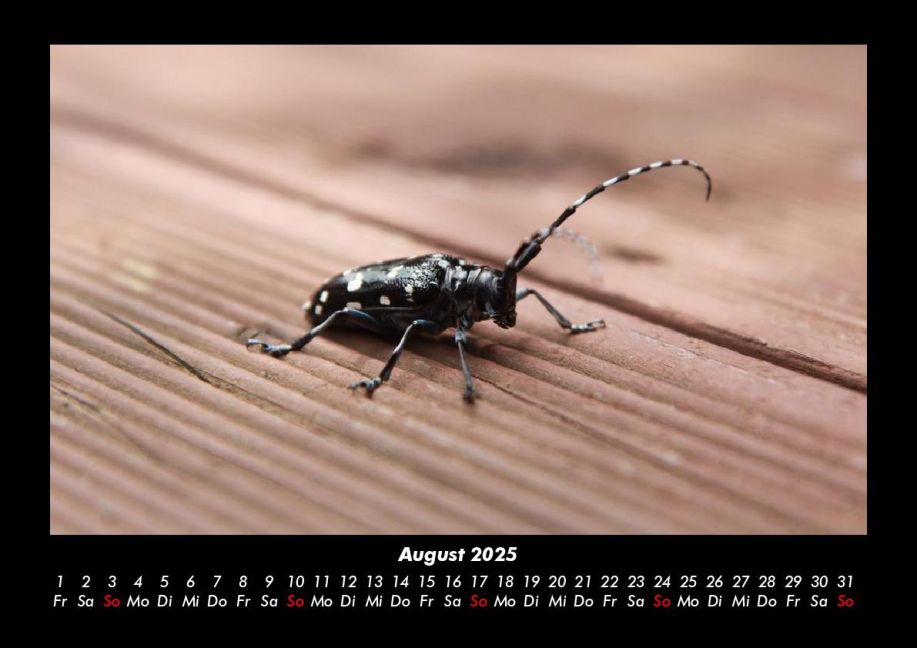additionalImage12