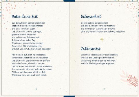 additionalImage2