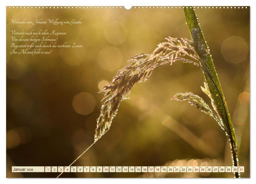 additionalImage5