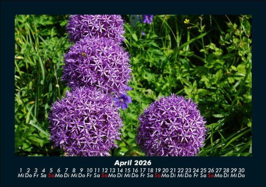 additionalImage8