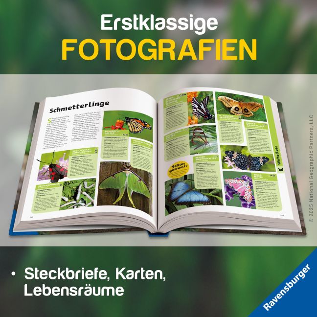additionalImage2