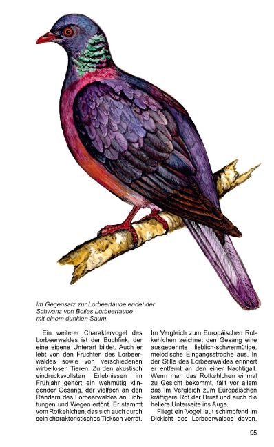 additionalImage9