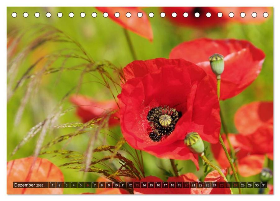 additionalImage4