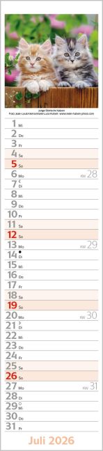 additionalImage7