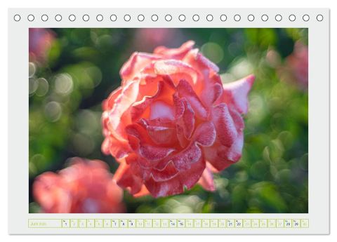 additionalImage11